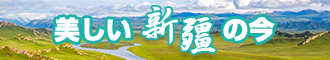 插BB新疆banner-w330n60.jpg